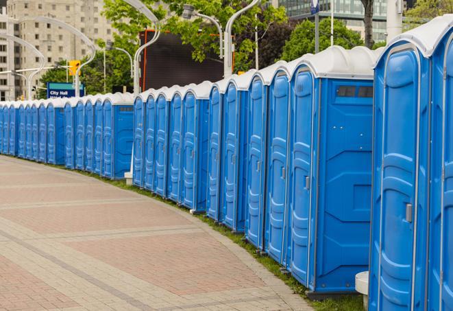 portable restrooms with sink and hand sanitizer stations, available at a festival in Bridgewater